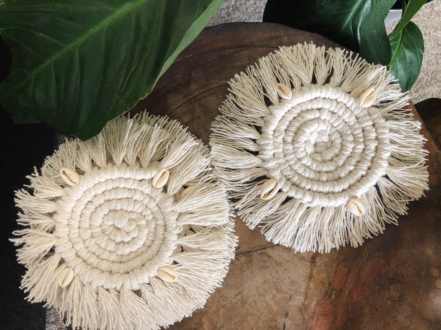 COWRIE COASTERS
